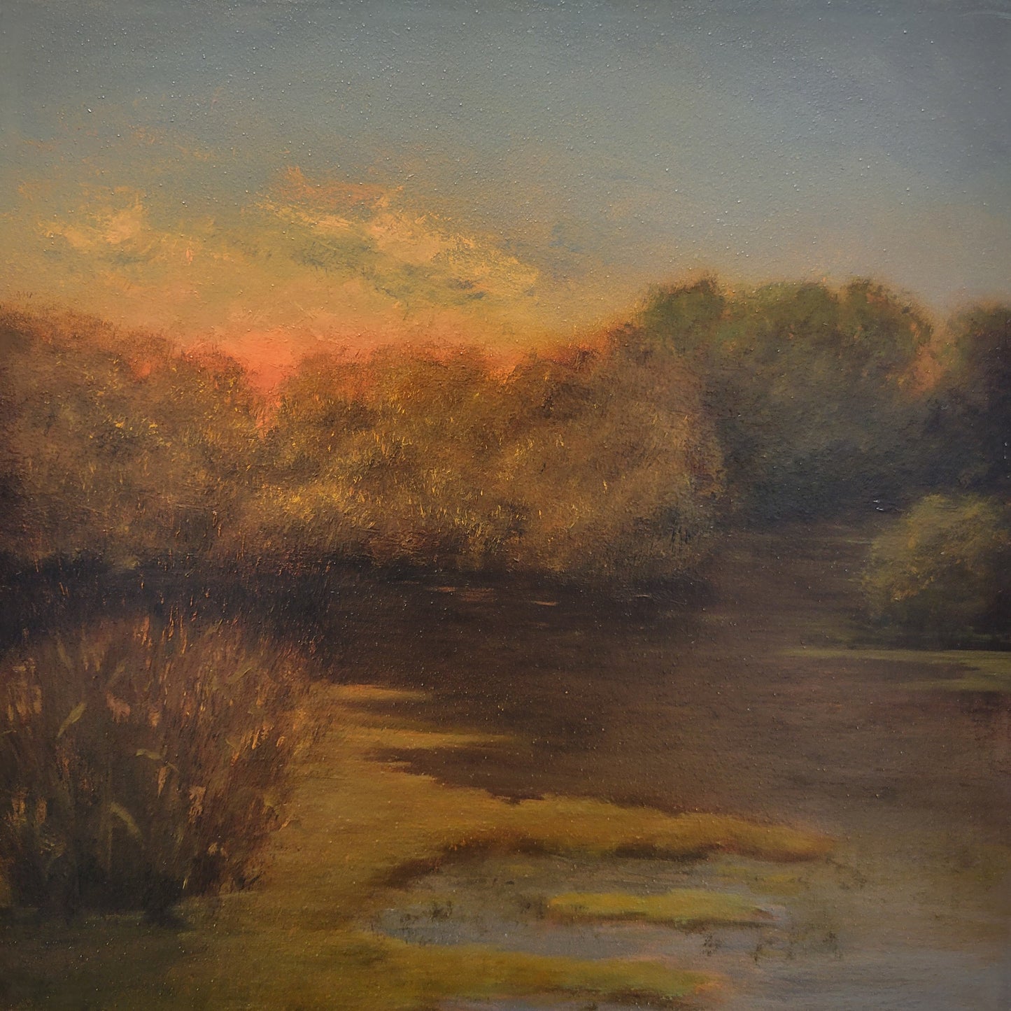 Bayou Sunset | 12x12