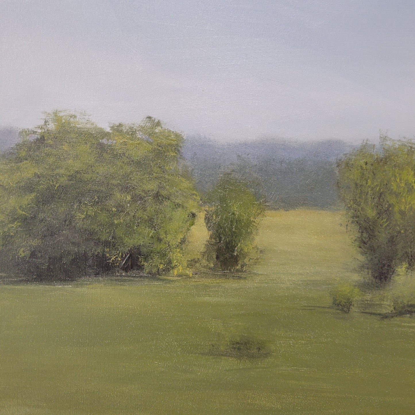 Field of Green | 11x14