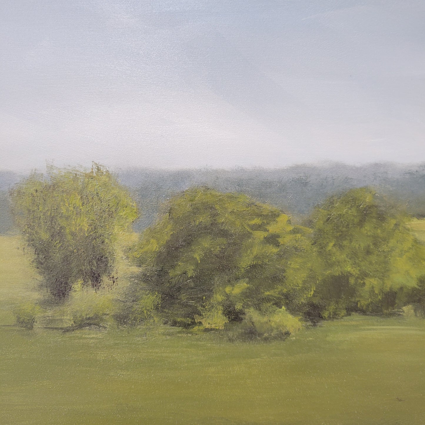 Field of Green | 11x14
