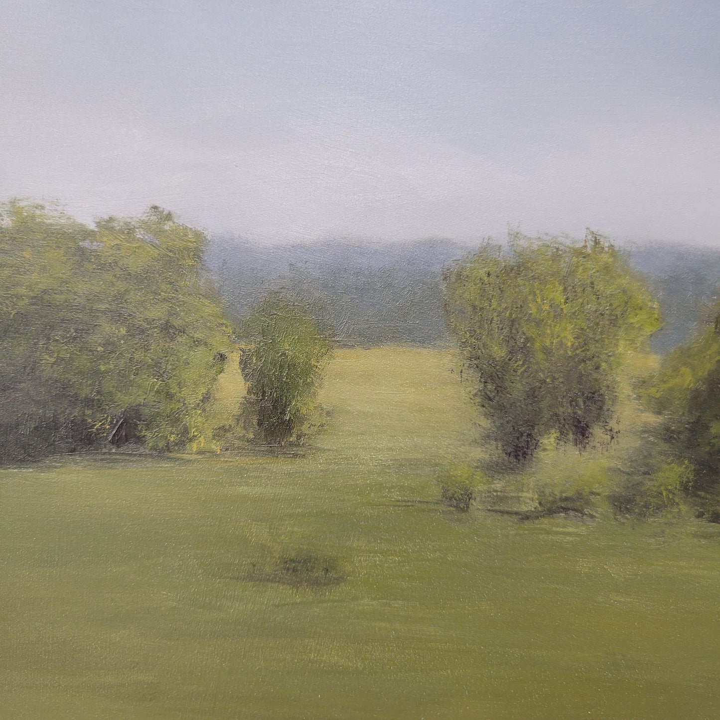 Field of Green | 11x14