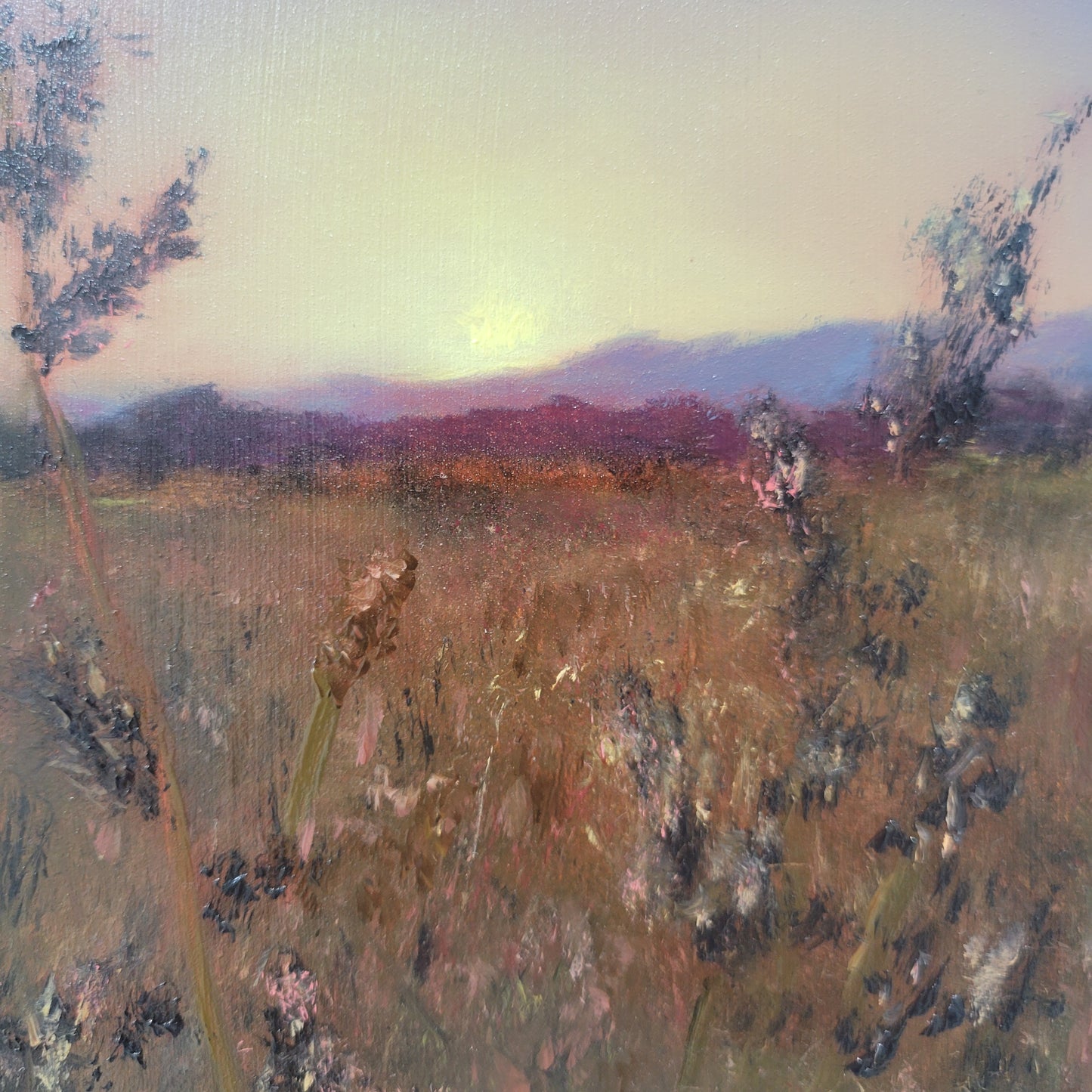 Field of Dreams | 8x10