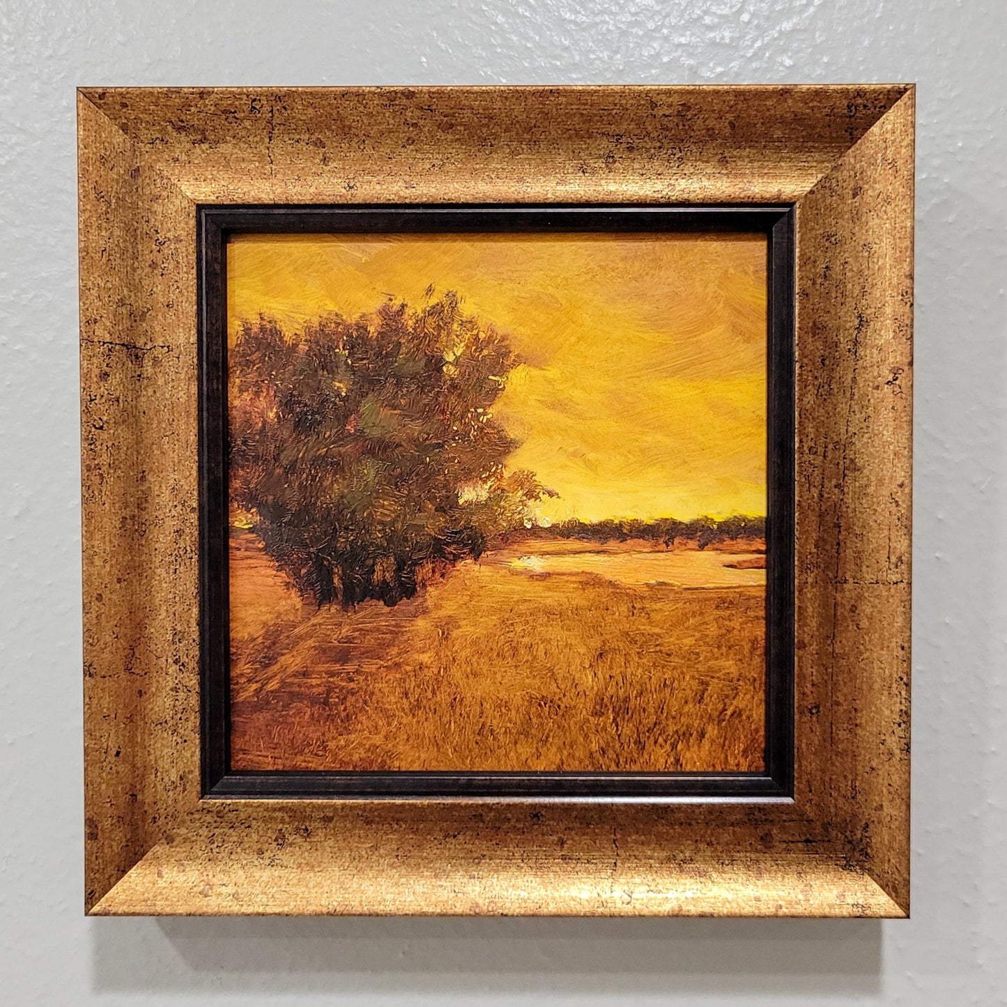 Golden Sunset | 5x5