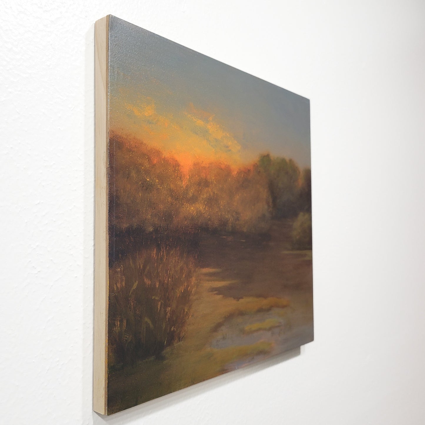 Bayou Sunset | 12x12