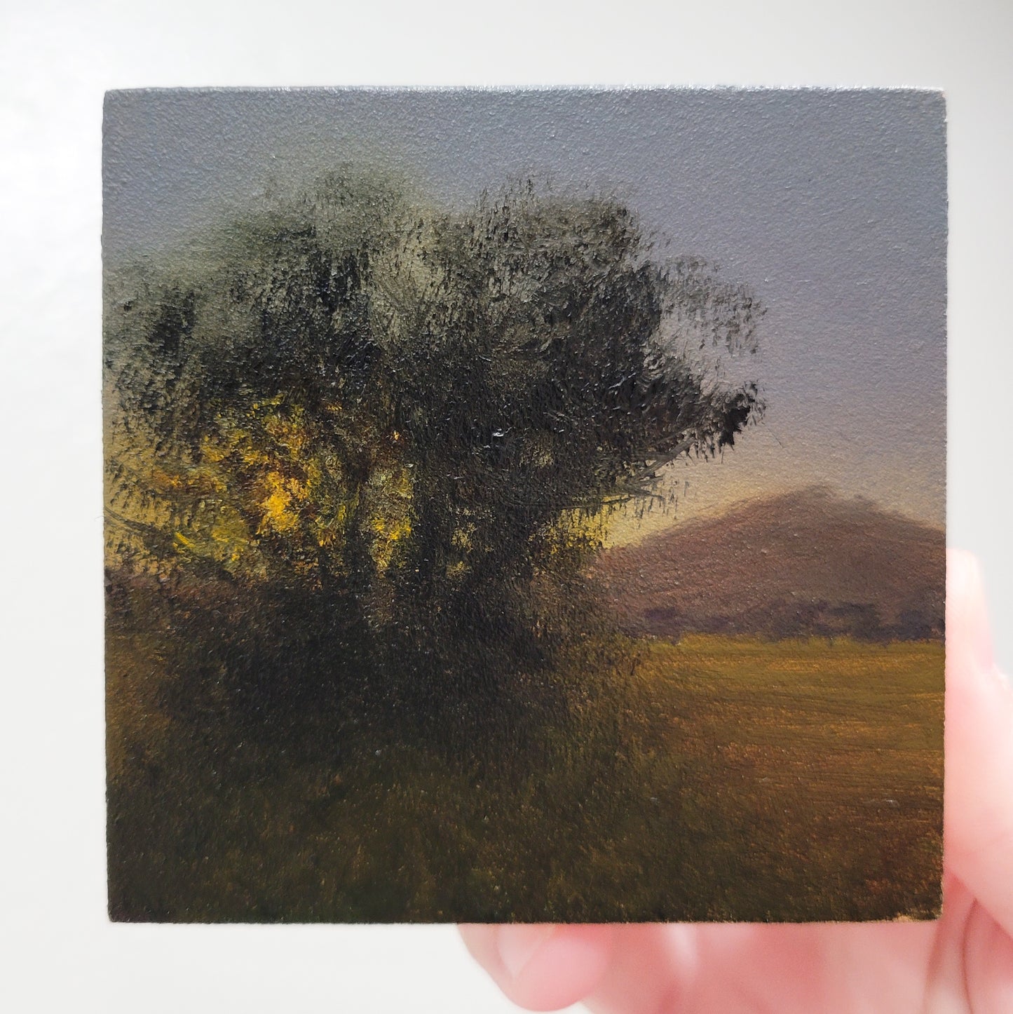 Tree Sunset | 3x3