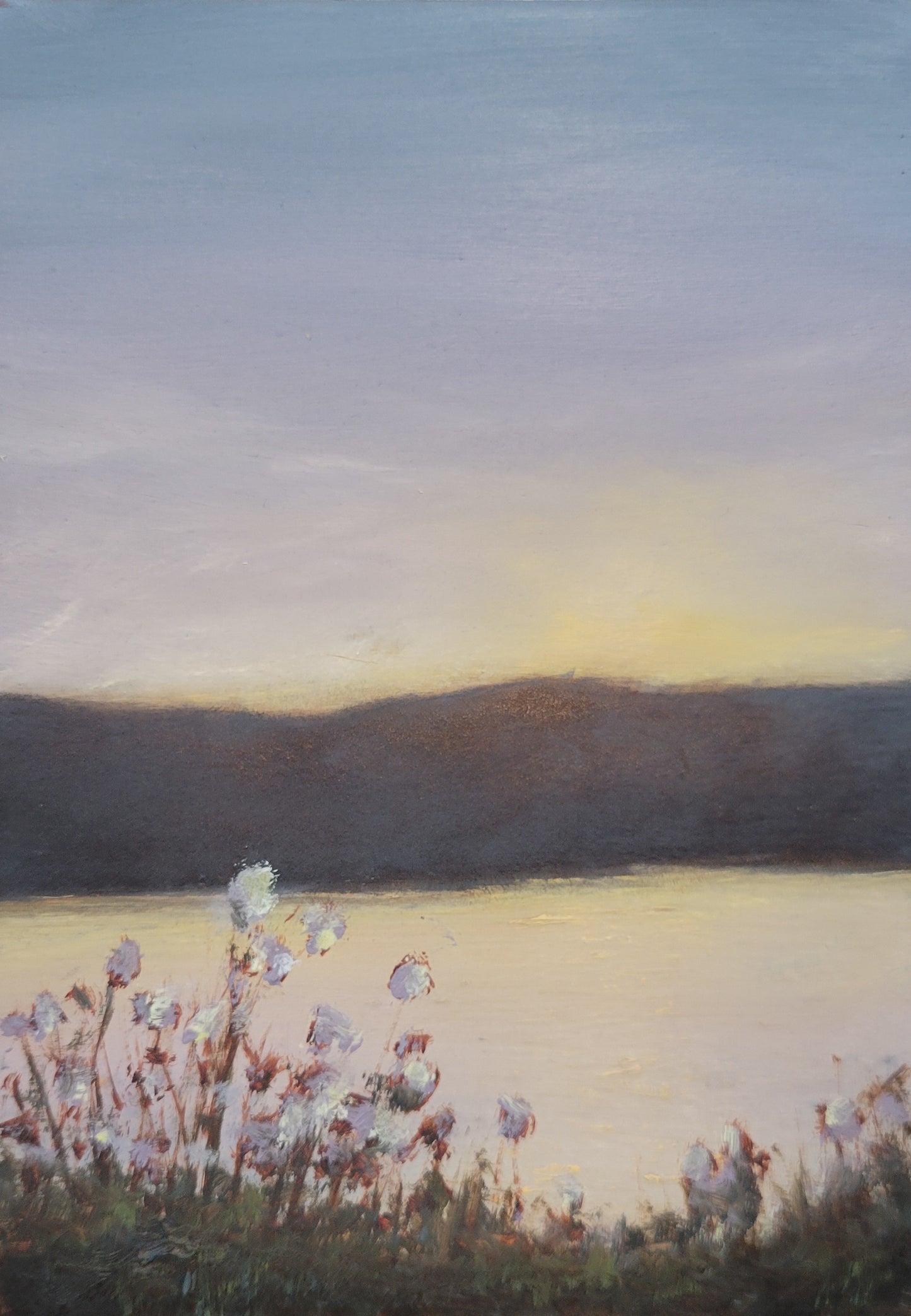 Benson Sunset | 7x5