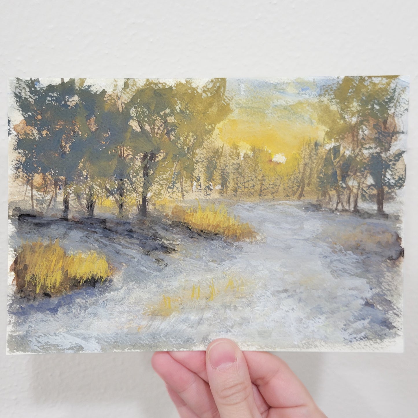 Winter Sunset | 5x7