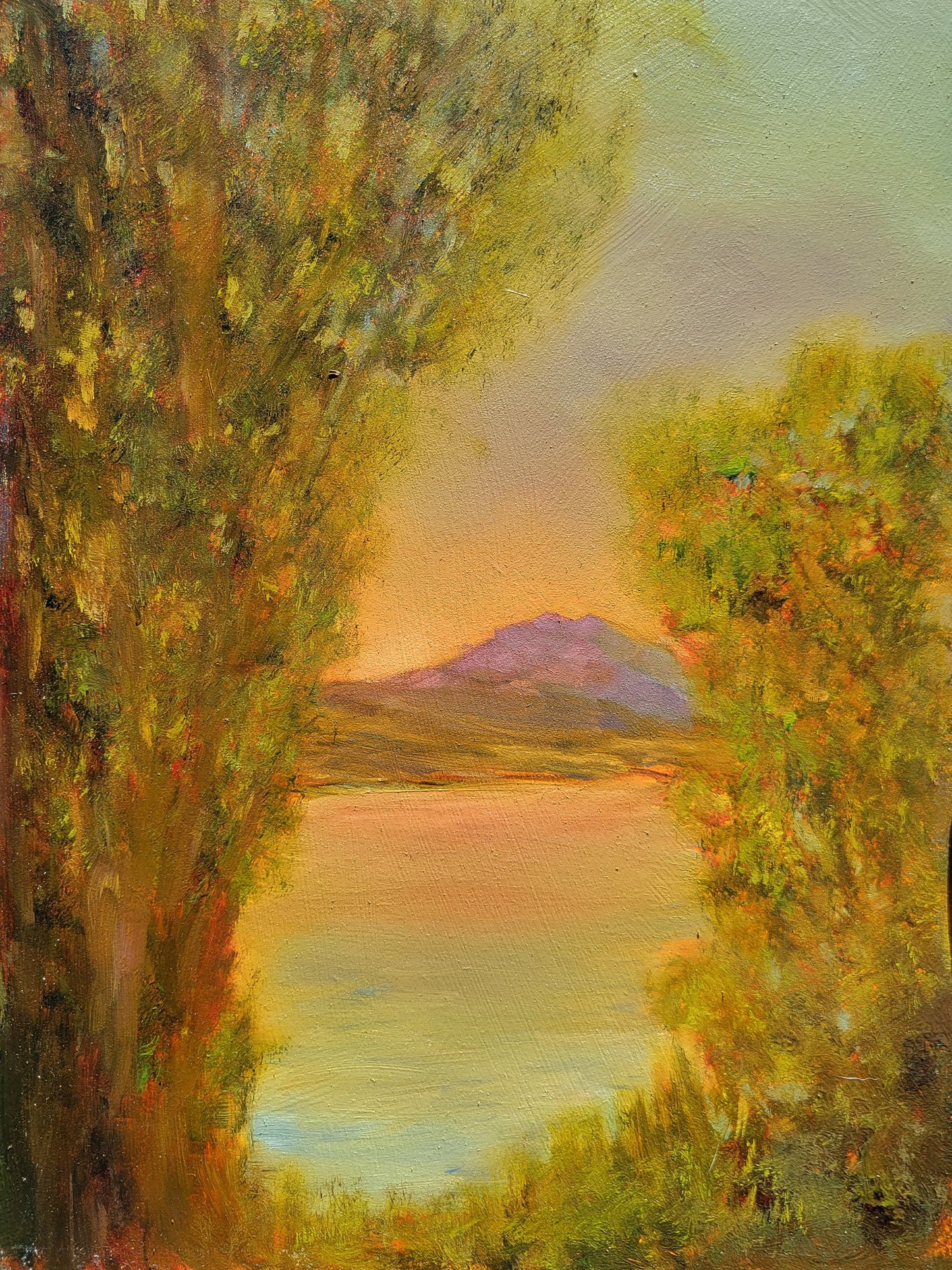 Benson Marina Sunset | 12x9