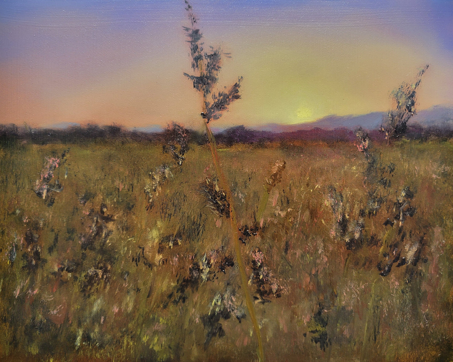 Field of Dreams | 8x10