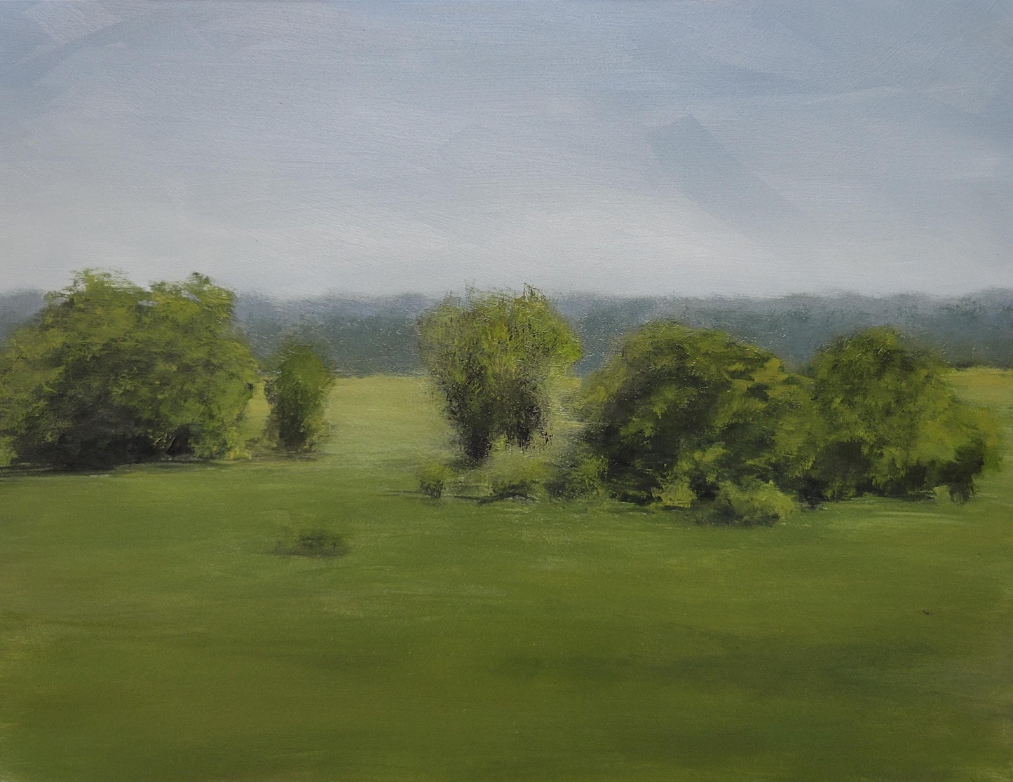 Field of Green | 11x14