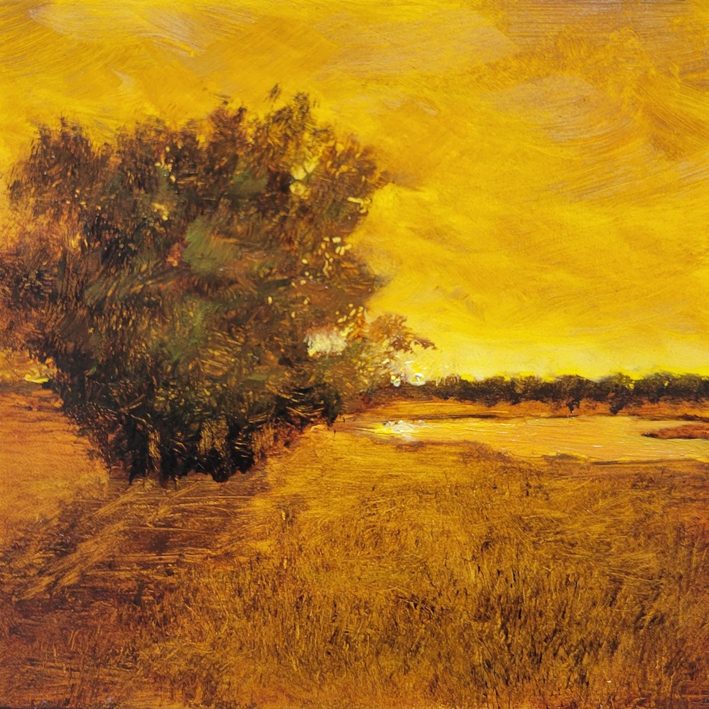 Golden Sunset | 5x5