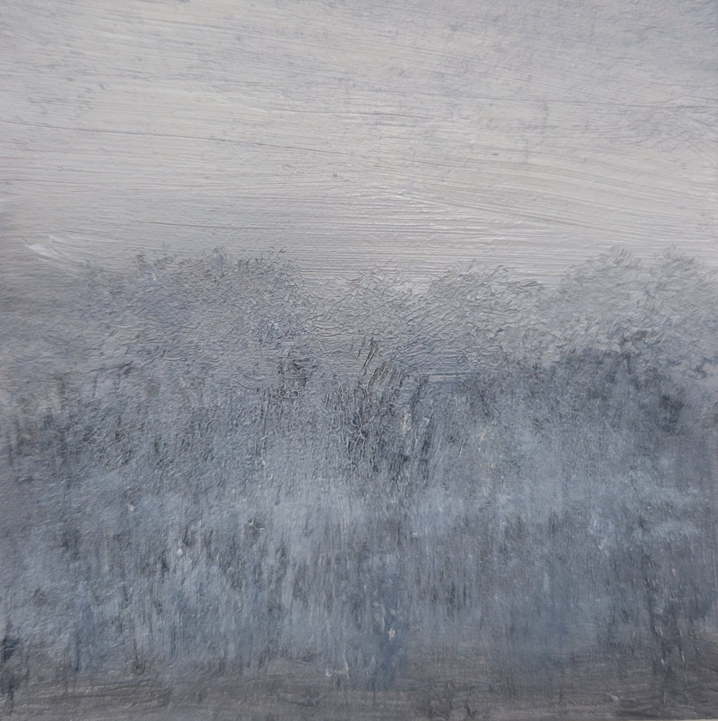 Foggy Trees | 3x3