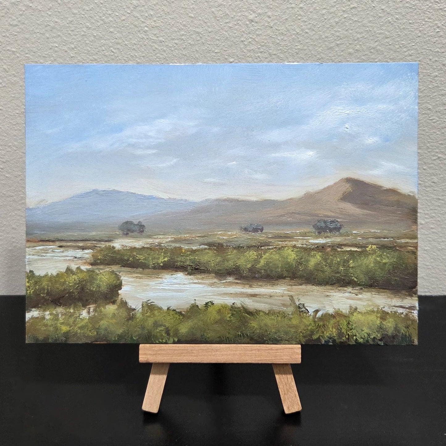 Marsh and Mountains | 5x7