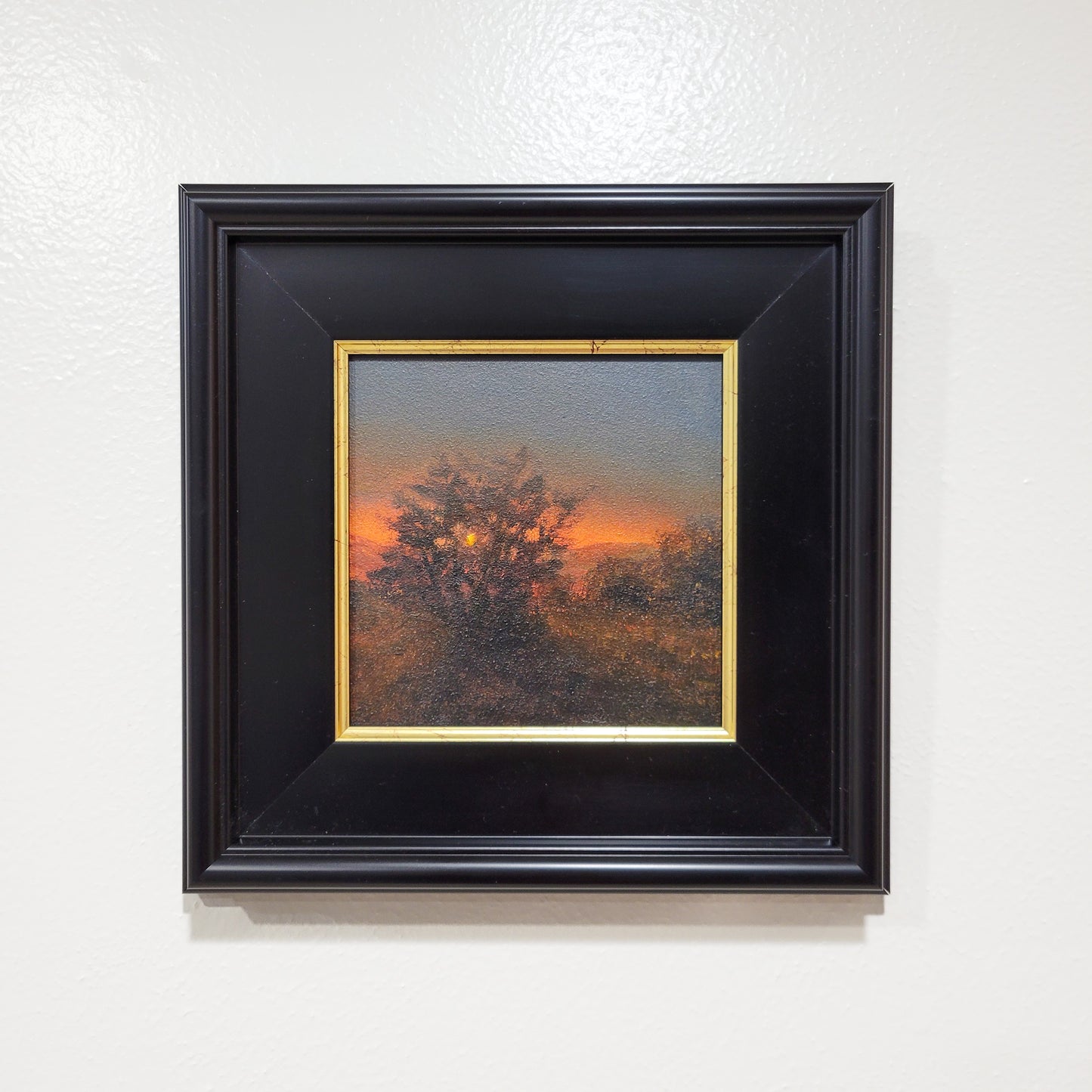 Green Canyon Sunset | 6x6