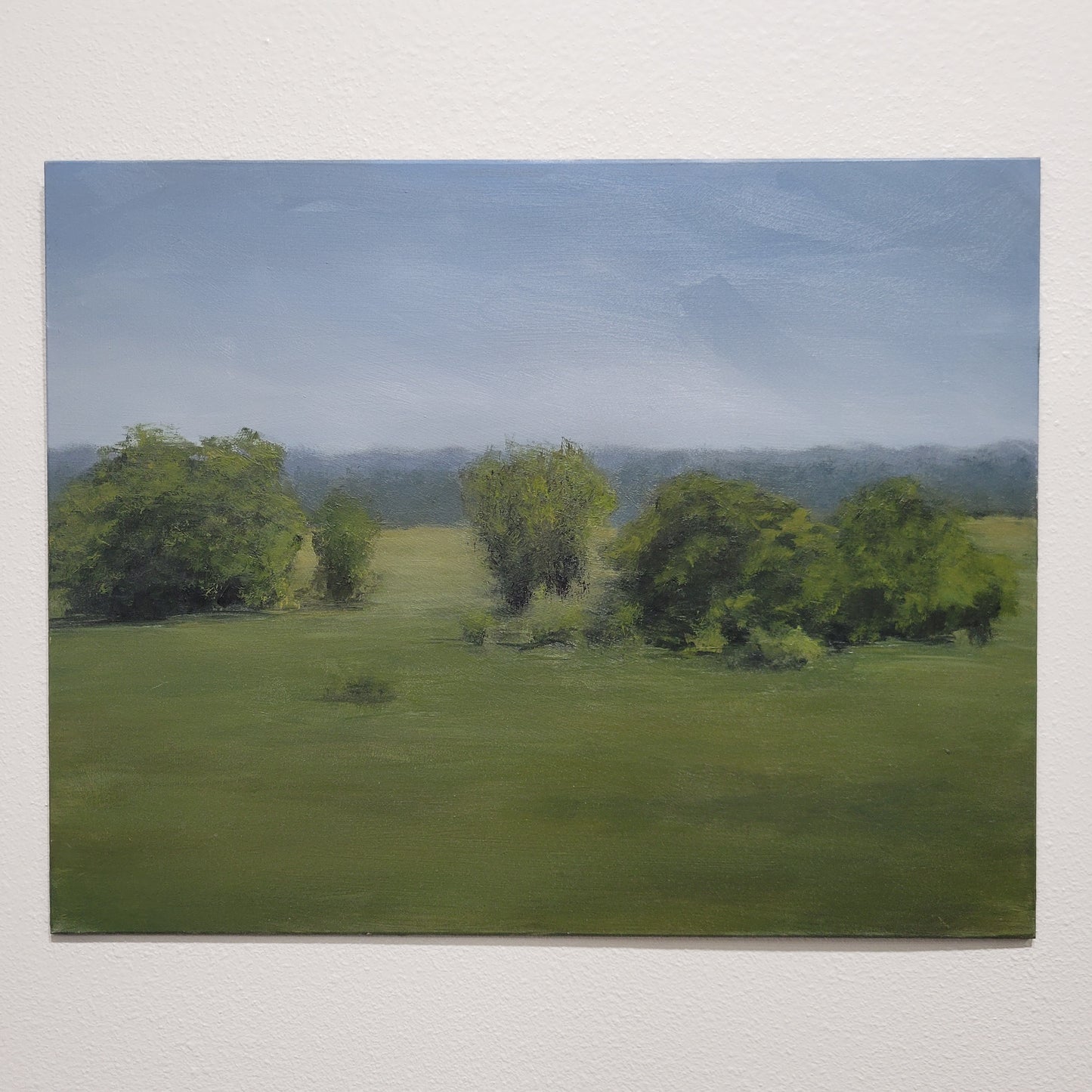 Field of Green | 11x14