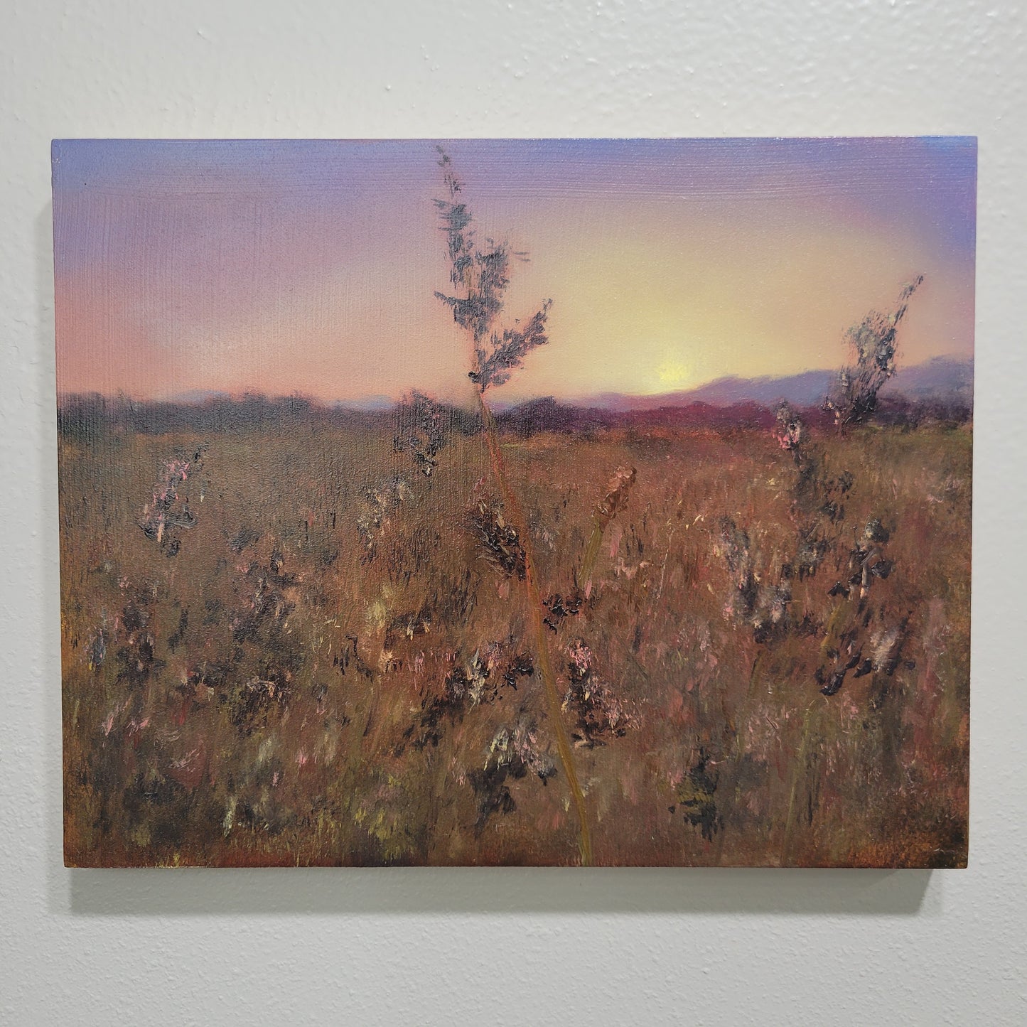 Field of Dreams | 8x10