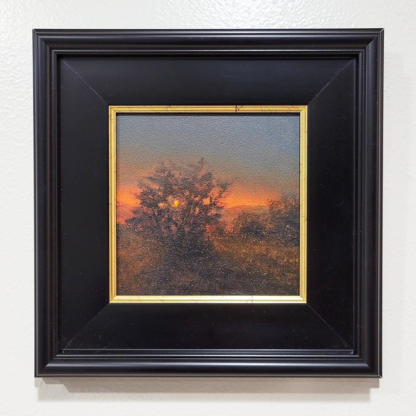 Green Canyon Sunset | 6x6