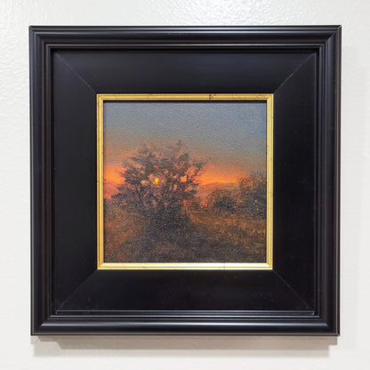 Green Canyon Sunset | 6x6