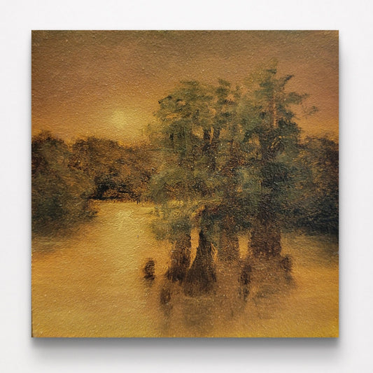 Cypress Swamp | 3x3