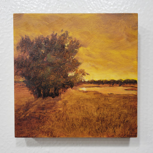 Original oil painting of a sunset over a field with a tree in the foreground, on a 5x5 inch wooden panel.
