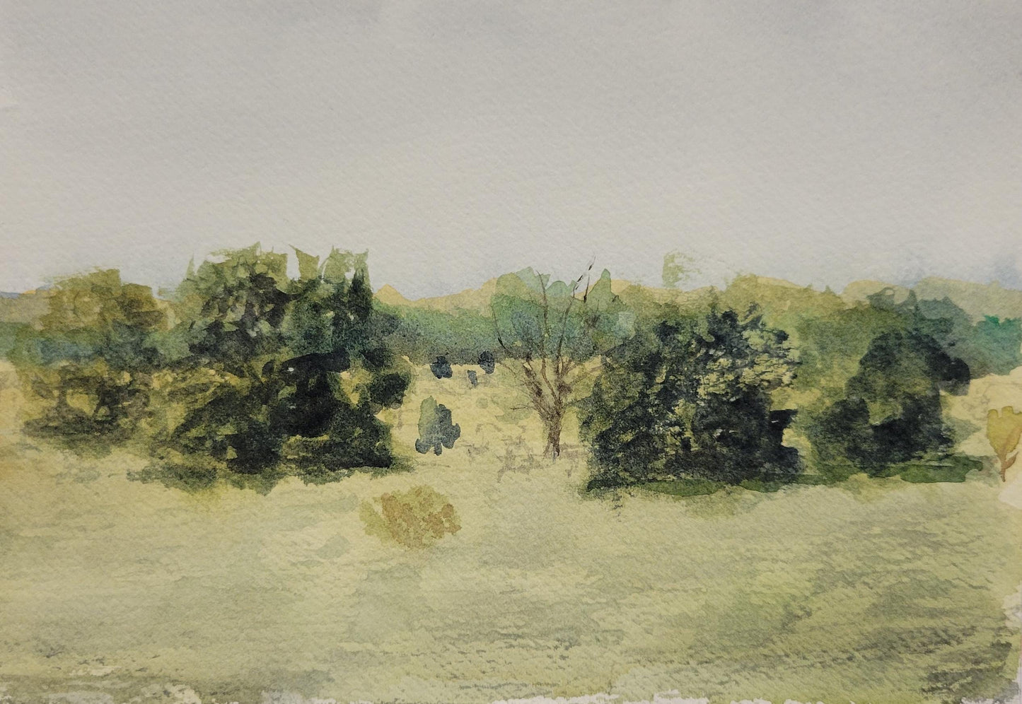 Green Field | 5x7