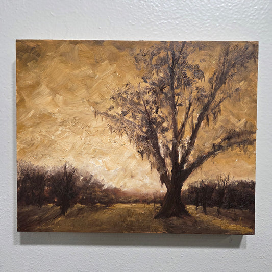 Sunrise | 8x10