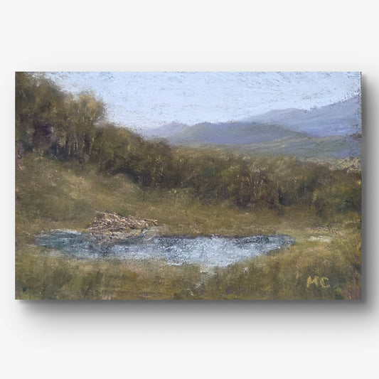 Beaver Dam at Temple Fork | 4x6