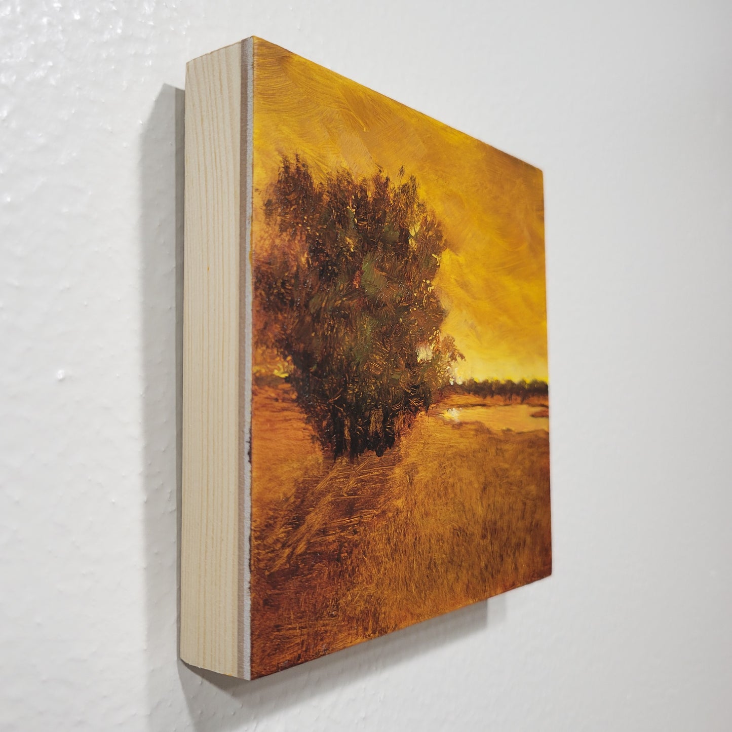 Golden Sunset | 5x5