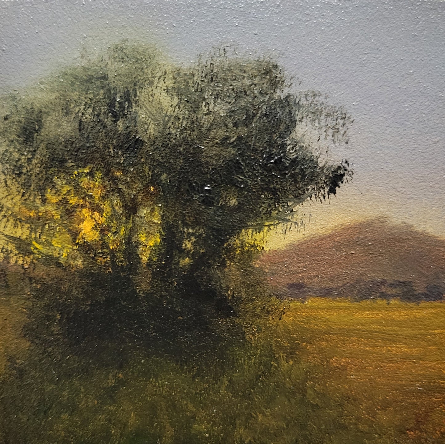 Tree Sunset | 3x3