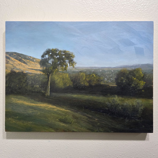 Valley View | 9x12