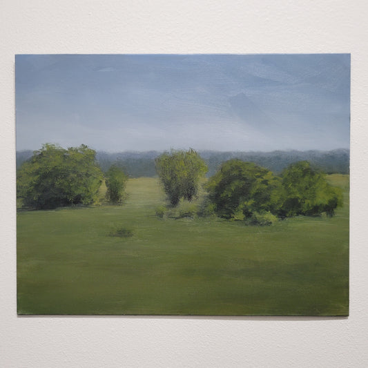 Field of Green | 11x14