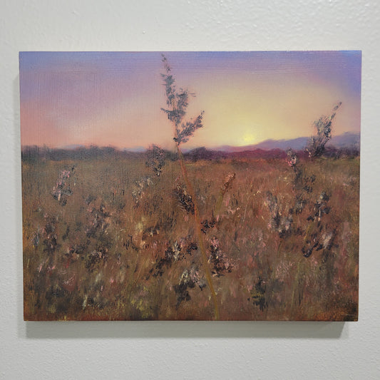 Field of Dreams | 8x10